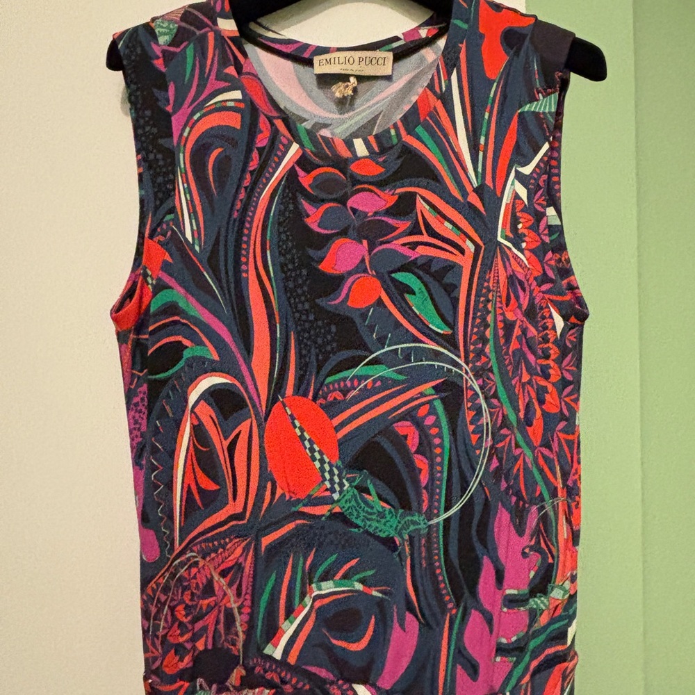 Emilio Pucci Dress (worn 2x)